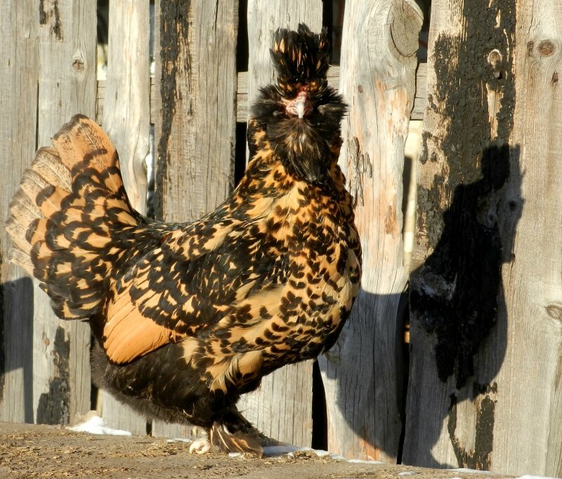 19 февраля 2013