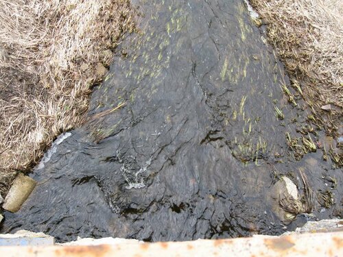 Ржача около моста