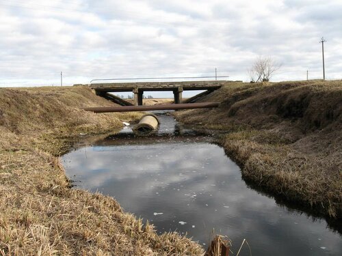 Ржача около моста
