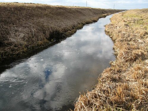 Ржача около моста