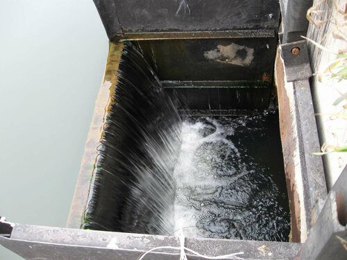 Река Ржача-местечко