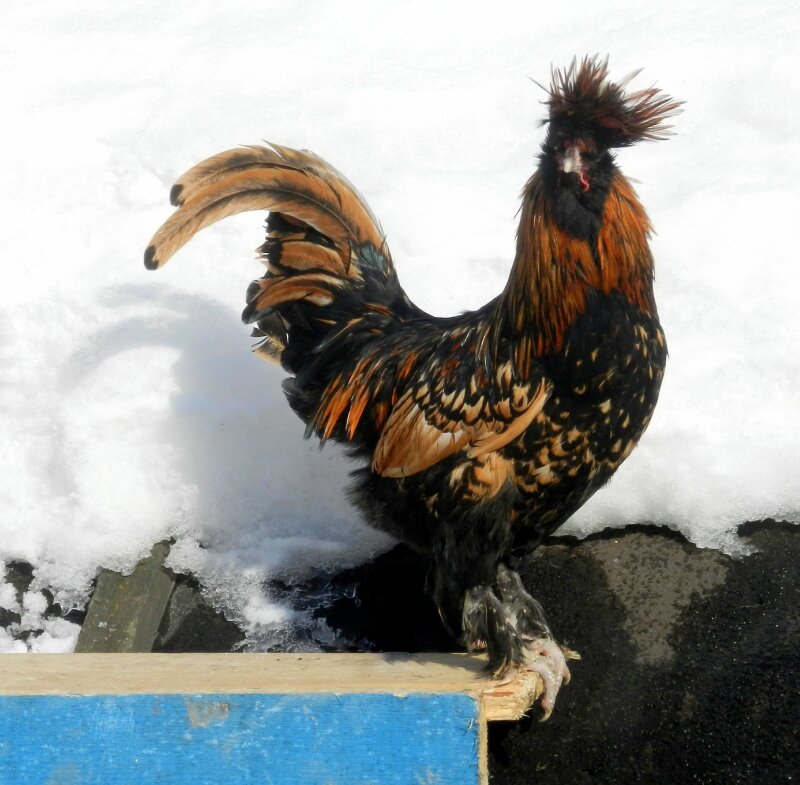 20 ФЕВРАЛя 2013