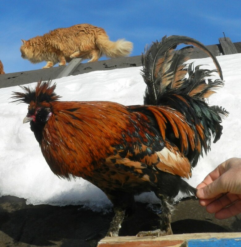 20 ФЕВРАЛя 2013