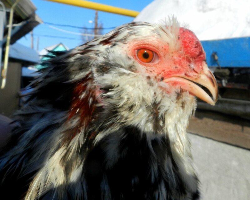 18 февраля 2013