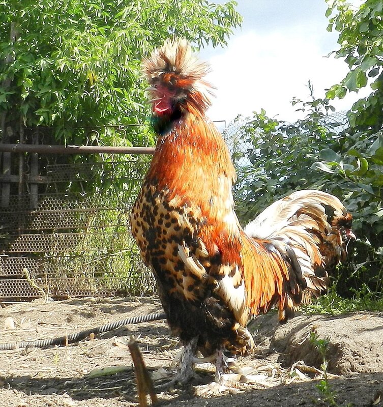 За окнами август