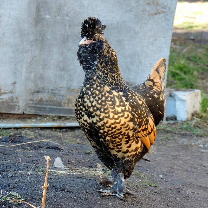 19 октября 2013