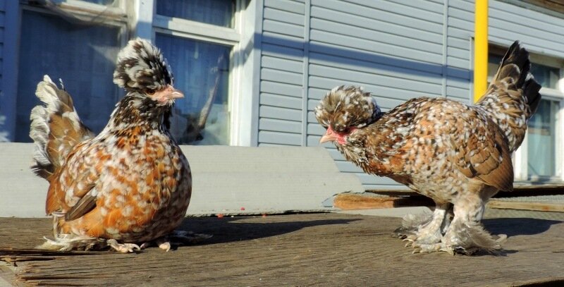 19 октября 2013