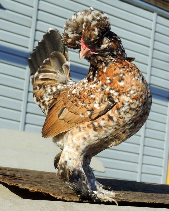 19 октября 2013