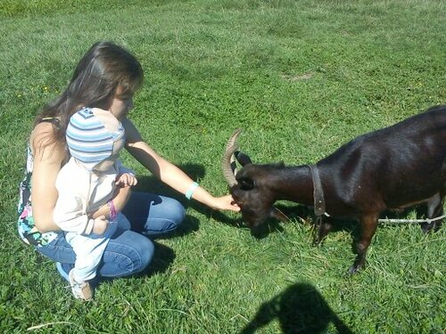 ферма мартыновых