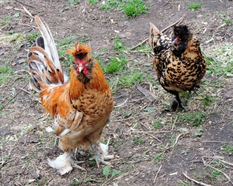 4 октября 2013