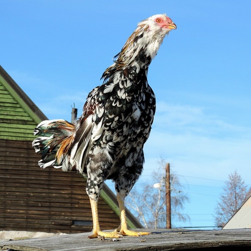 19 октября 2013