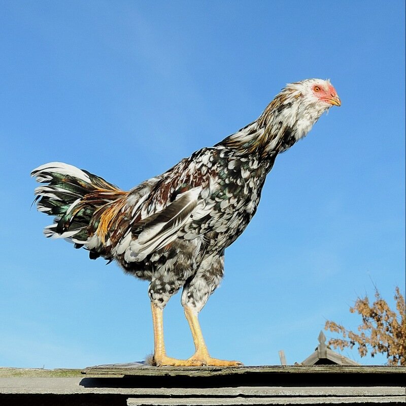 19 октября 2013