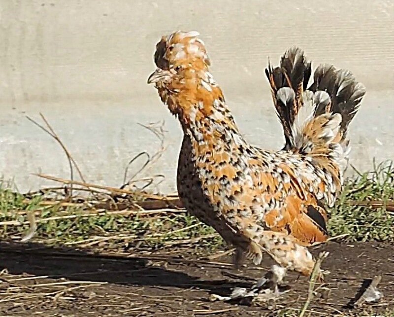 20 октября 2013