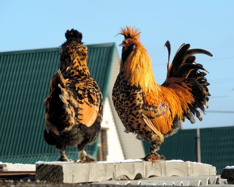 10 ноября 2013