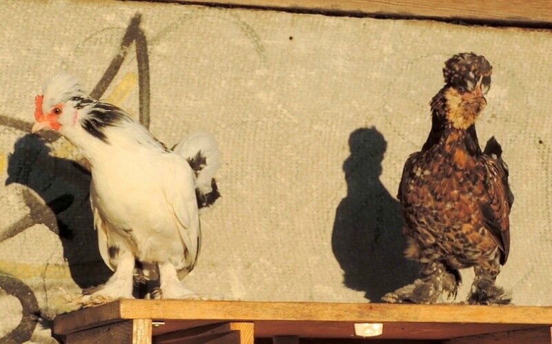 20 октября 2013