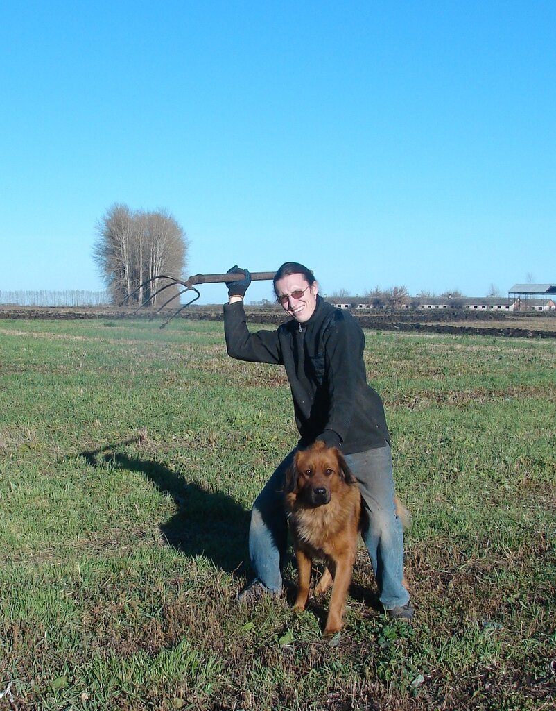 вилы тамбов