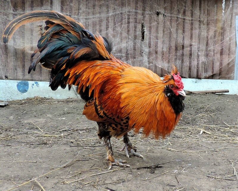 10 апреля 2014