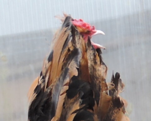 10 апреля 2014