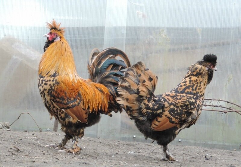 10 апреля 2014