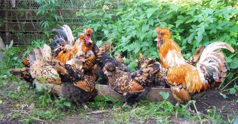 КККККККККК