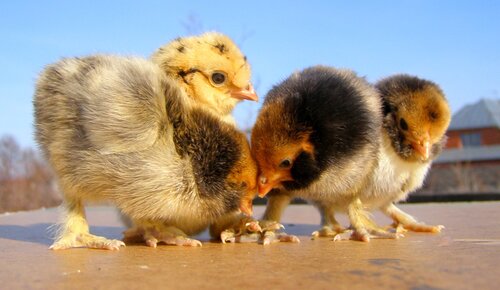 Ногти - это зеркало души.