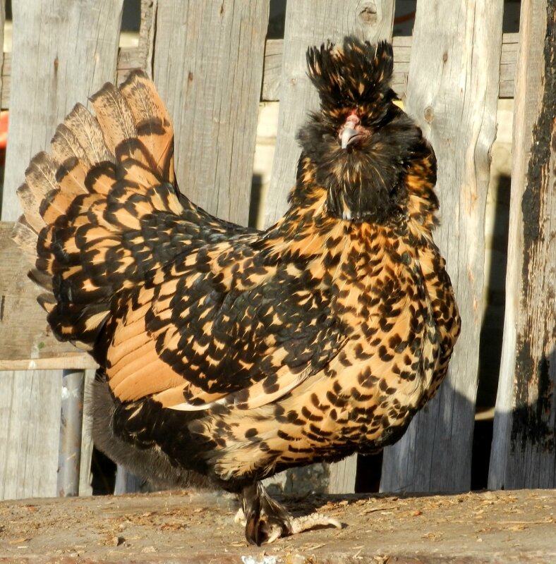 19 февраля 2013