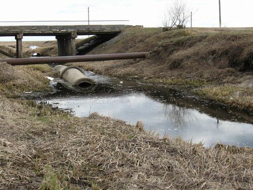 Ржача около моста