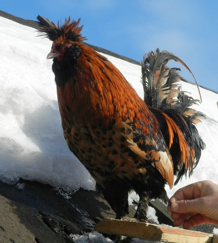 20 ФЕВРАЛя 2013