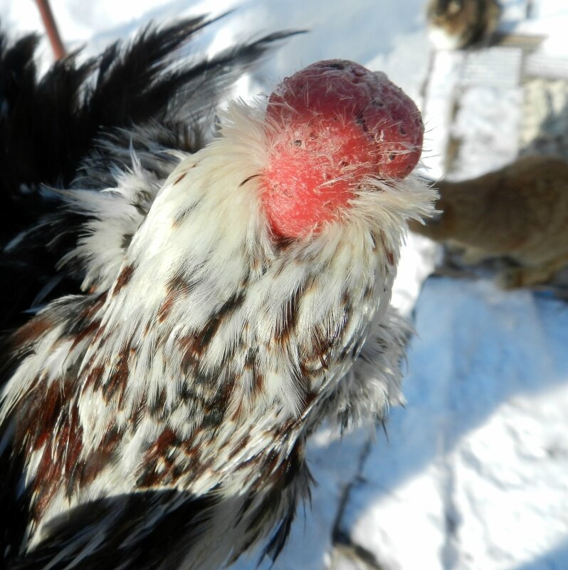 18 февраля 2013