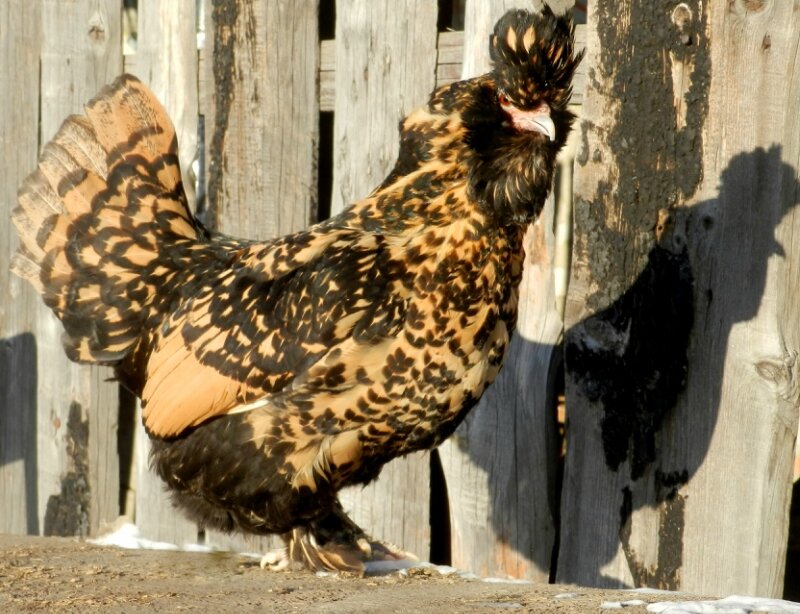 19 февраля 2013