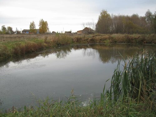 Дидков Пруд