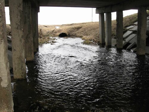 Ржача около моста