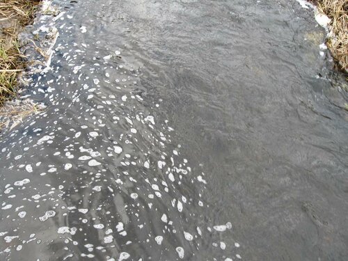 Ржача около моста