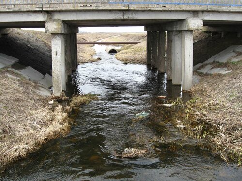 Ржача около моста