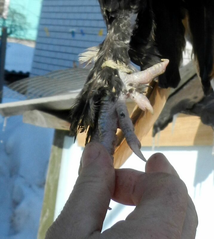 20 ФЕВРАЛя 2013