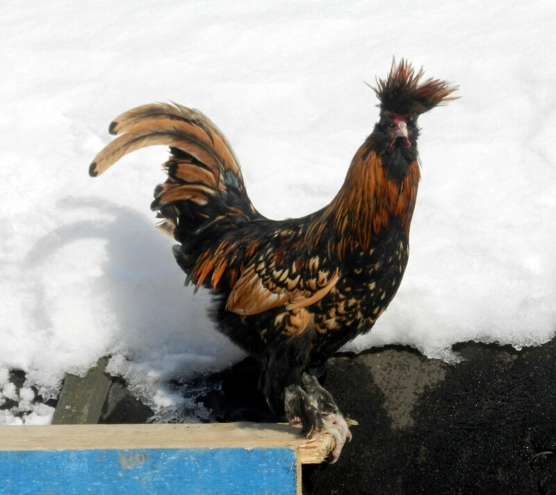 20 ФЕВРАЛя 2013