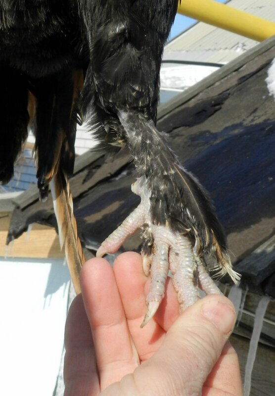 20 ФЕВРАЛя 2013