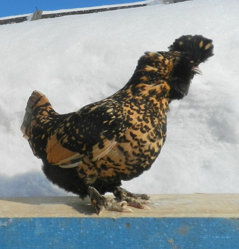 18 февраля 2013