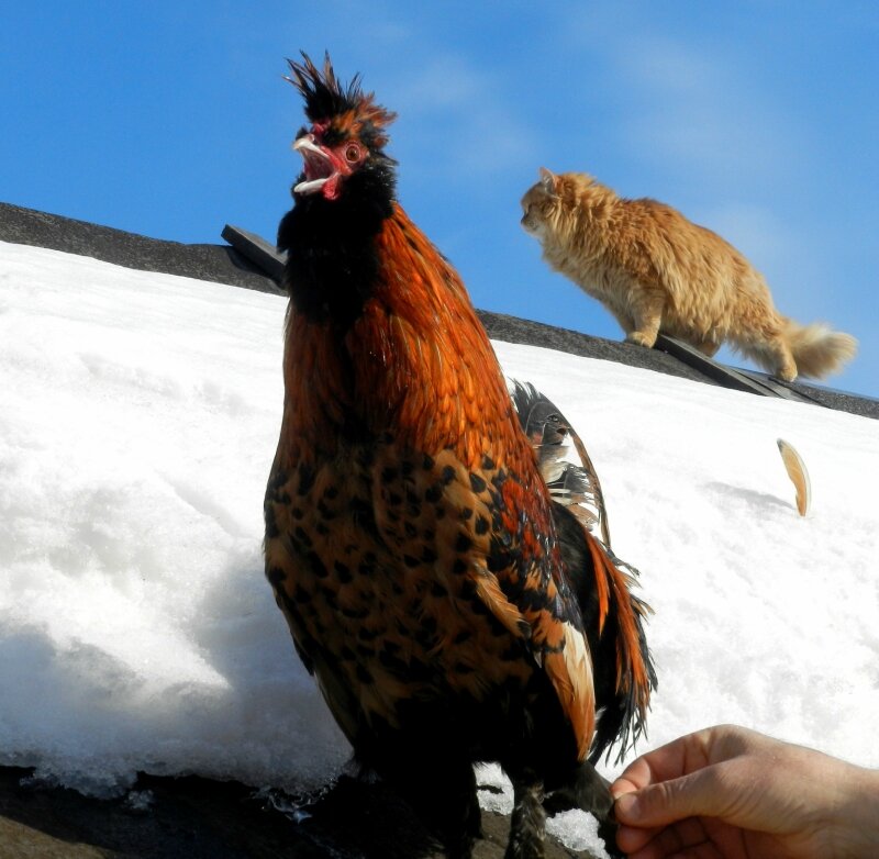 20 ФЕВРАЛя 2013