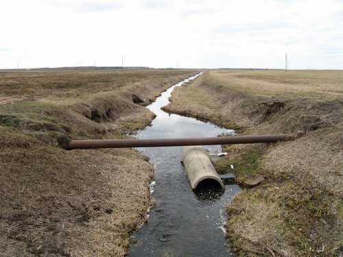 Ржача около моста