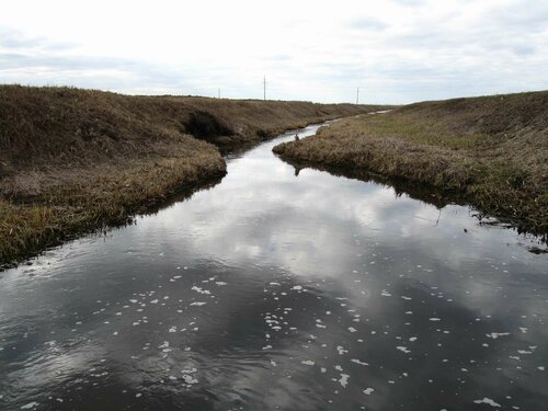 Ржача около моста
