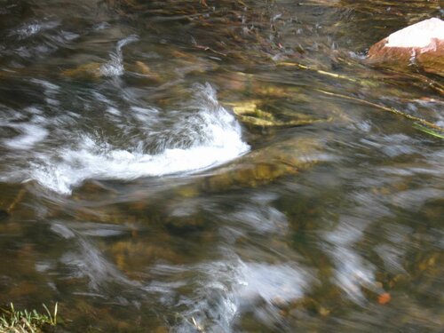 Ржача около моста