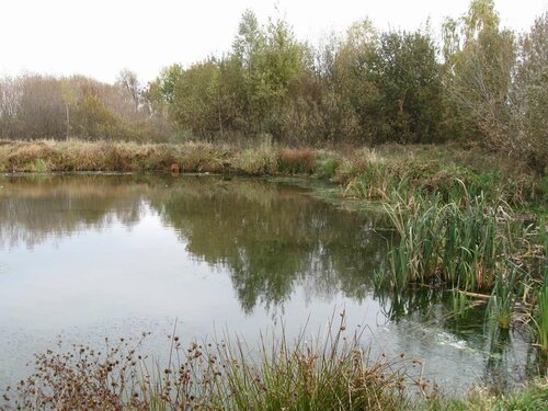 Дидков Пруд