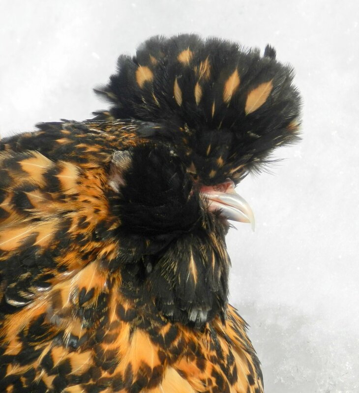 18 февраля 2013