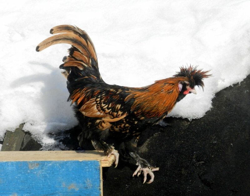 20 ФЕВРАЛя 2013