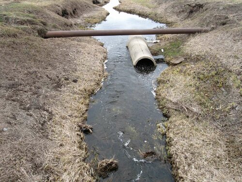 Ржача около моста