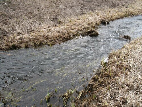 Ржача около моста