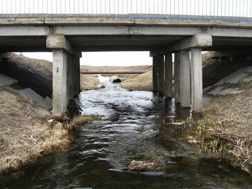 Ржача около моста