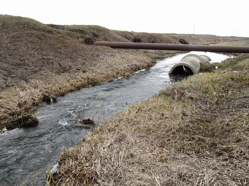 Ржача около моста