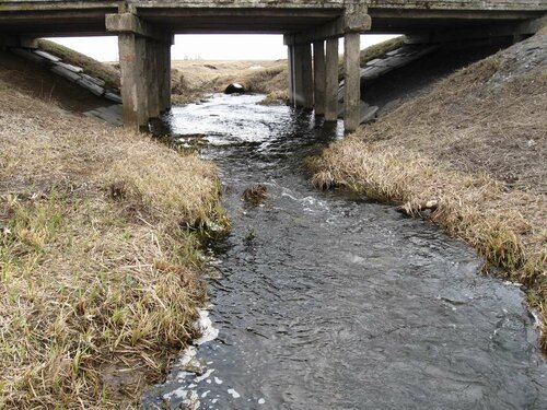 Ржача около моста